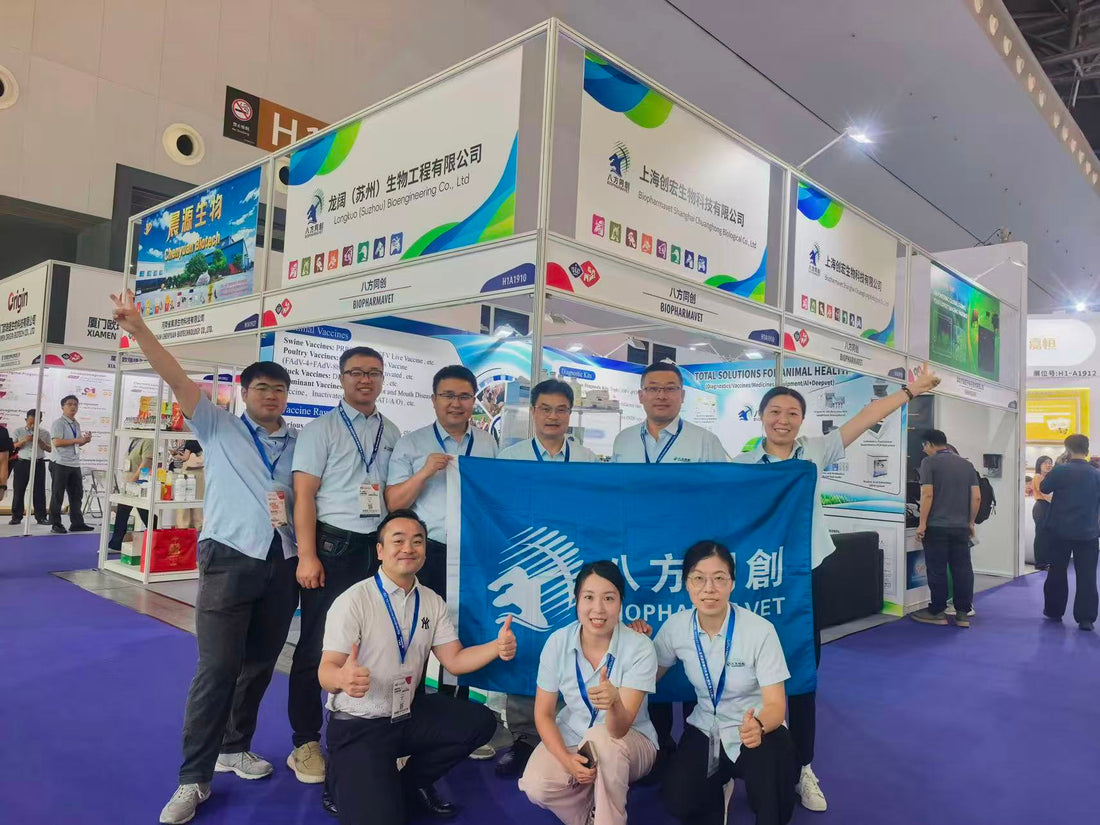 VIV Shanghai United: Creating Together Across the Industry — Shining at the Expo Center with “Comprehensive Animal Health Solutions”