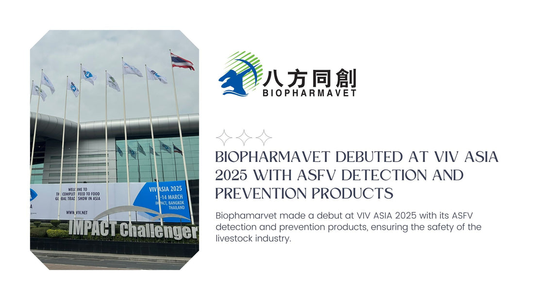 Biopharmavet Debuted at VIV ASIA 2025 with ASFV Detection and Prevention Products