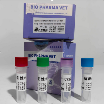 Wild-type Strain and gE-deleted Vaccine Strain of Pseudorabies Virus Detection Kit