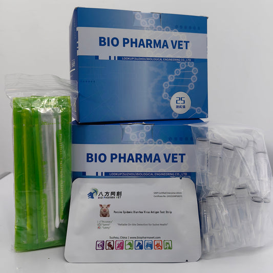 African Swine Fever Virus Antigen Test Strip